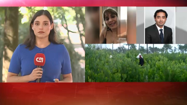 Suspeito de desaparecimento de grávida da Murtosa vai continuar em prisão domiciliária
