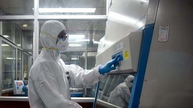 Varíola dos macacos