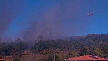 Incêndio em mato na Guarda mobilizou dez meios aéreos