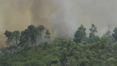 Bombeiros combatem chamas na Ribeira Brava e em Câmara de Lobos na Madeira