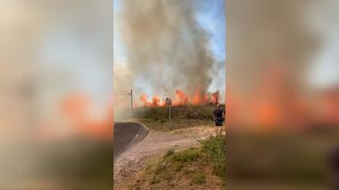 Incêndio consome zona de mato perto do Taguspark em Oeiras 