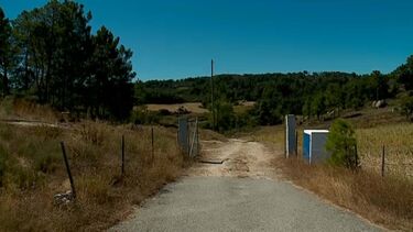 Incêndio em Fornos de Algodres consome zona de mato 