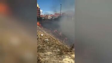 Fogo devasta zona de mato na Penha de França em Lisboa