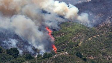 Incêndio na Madeira