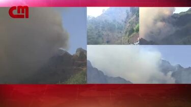 Ilha da Madeira mantém-se sob avisos amarelo de calor e em perigo de incêndio