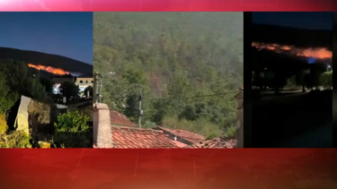 Incêndio em Torres Novas em fase de resolução