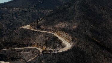 Imagens de drone mostram manto negro deixado pelos incêndios na Madeira