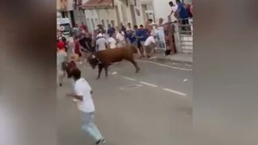 Menina de 10 anos ferida em largada de touros nas festas de Coruche