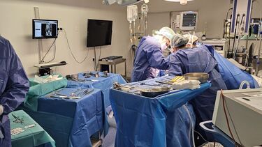 Imagem WHATSAPP IMAGE 2024-05-27 AT 18.08.53 (2).JPEG (22216685) (Milenium)