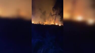 Incêndio deflagra em zona de mato em Barcelos