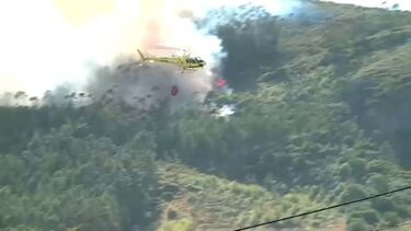 PJ detém sapador florestal por suspeita de ter provocada um incêndio em Tondela