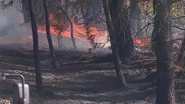 Seis meios aéreos e 150 operacionais combateram fogo em zona de mato e floresta em Vila Pouca de Aguiar