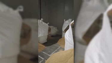 PJ apreende 65 milhões de euros de cocaína
