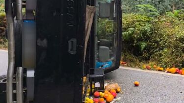 Mulher ferida em despiste de carrinha de transporte de fruta em Oliveira de Azeméis