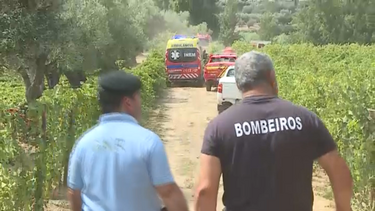 Mergulhadores preparam-se para iniciar buscas no rio Douro  