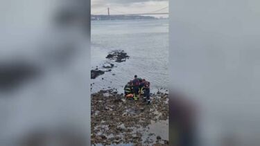 Corpo de homem encontrado a boiar no rio Tejo