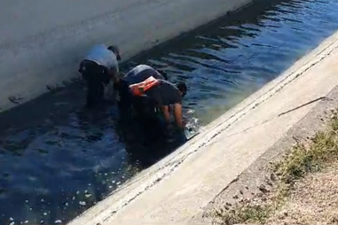 Buscas por arma do crime