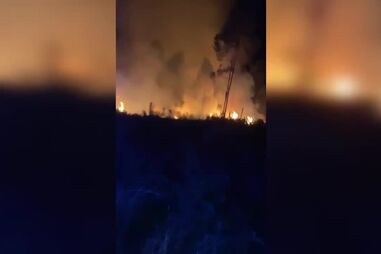 Incêndio deflagra em zona de mato em Barcelos