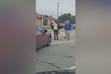 Avestruz à solta pára o trânsito na Dakota do Sul 