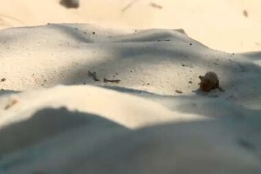 Casal resgatado da água na praia fluvial de Luzim em Penafiel