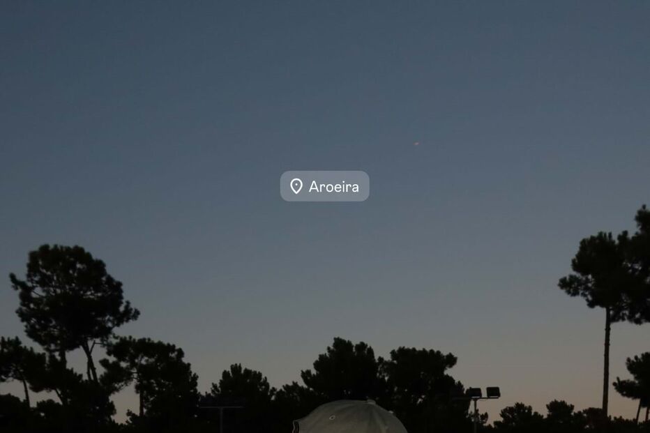 Mafalda Gameiro com o cão de Rúben Dias 