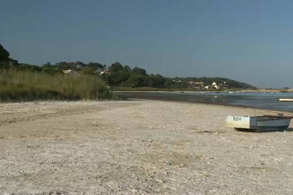 Lagoa de Albufeira xxx