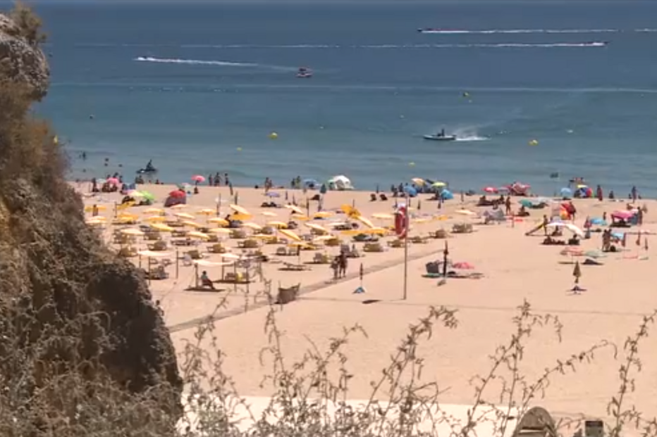 Gripe aviária detetada em três praias portuguesas