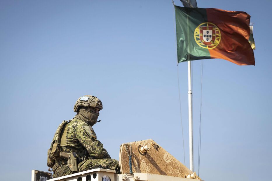 Imagem _A8A1271.JPG (22065658) (Milenium)