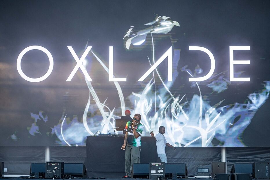 Imagem LGU_6858.JPG (22114232) (Milenium)