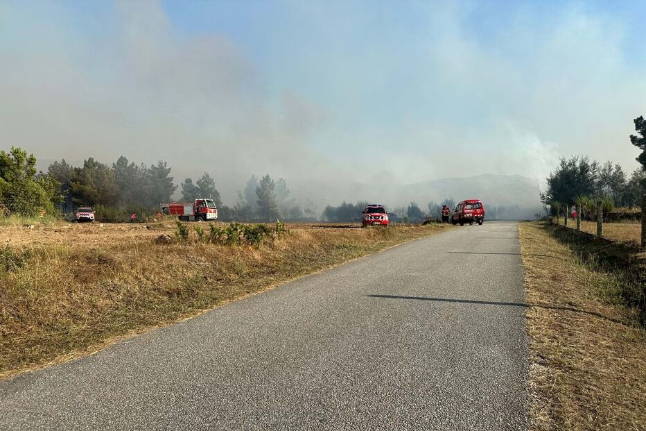 Fogo em mato em Celorico da Beira