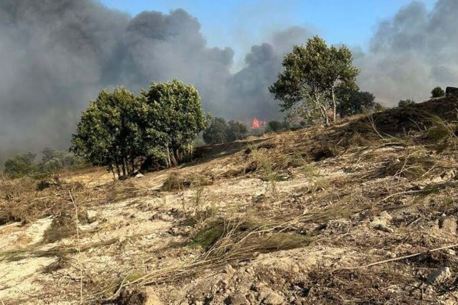 Fogo em mato em Celorico da Beira