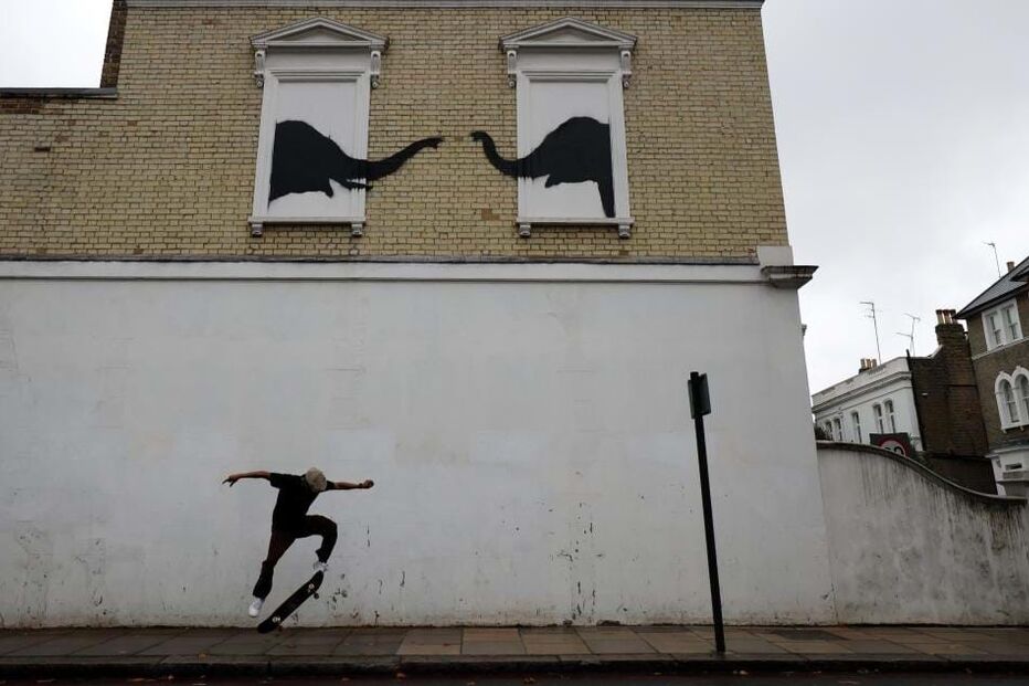 Chelsea viu surgirem dois elefantes à janela