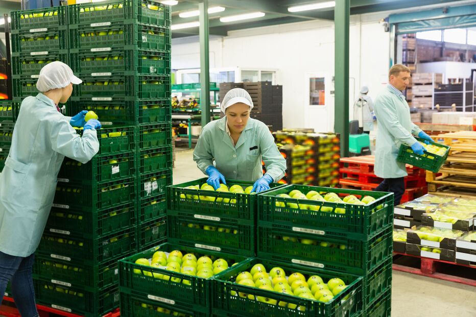 Imagem GETTYIMASGES-1437735641.JPG (22136426) (Milenium)