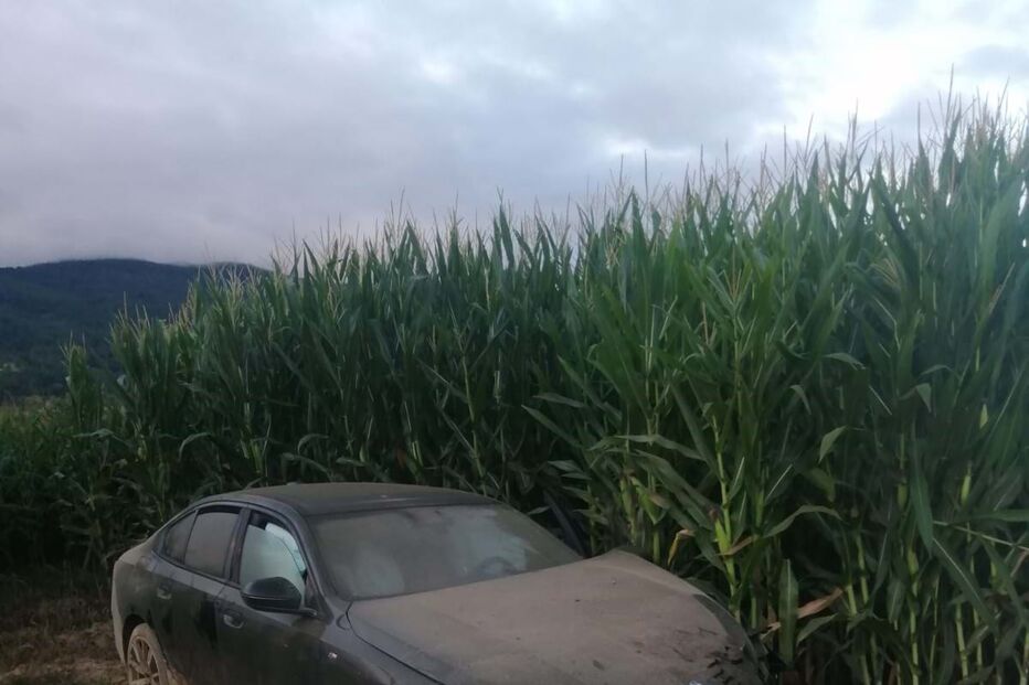 Jovem destrói BMW após conduzir com taxa crime de álcool em Chaves