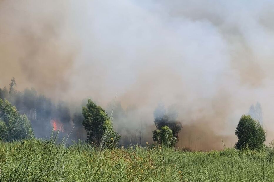 Fogo na Póvoa do Lanhoso