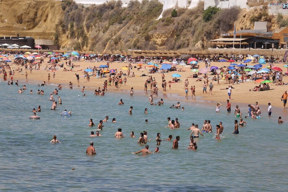 Imagem IMG_5580A.JPG (22156104) (Milenium)