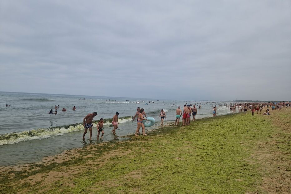 Imagem 20240811_104130.JPG (22156113) (Milenium)