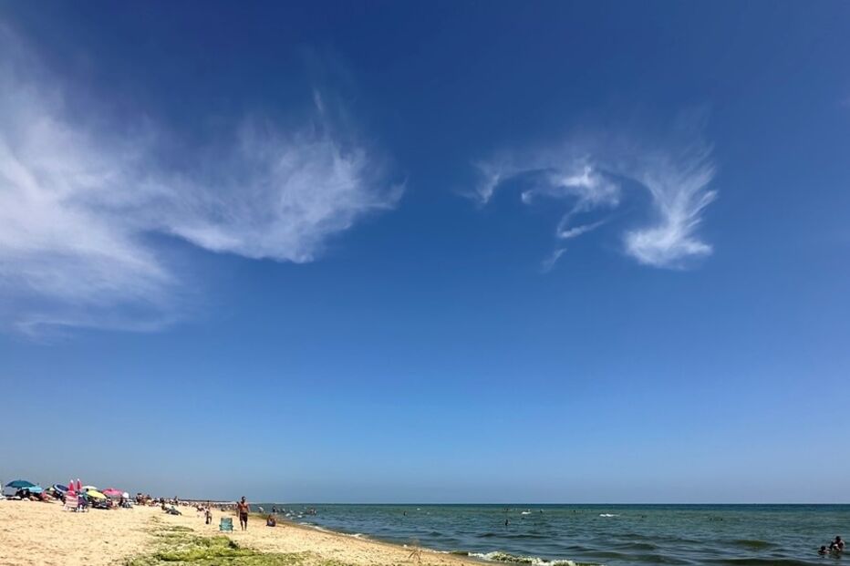 Imagem IMAGE00002.JPEG (22156088) (Milenium)