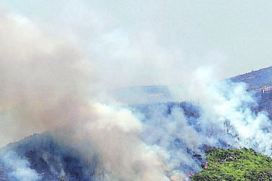 Chamas já alastraram para o concelho de Câmara de Lobos 