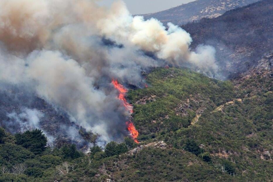 Incêndio na Madeira
