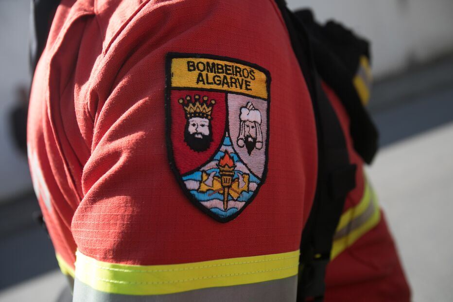 Imagem DL0A5313.JPG (22205930) (Milenium)