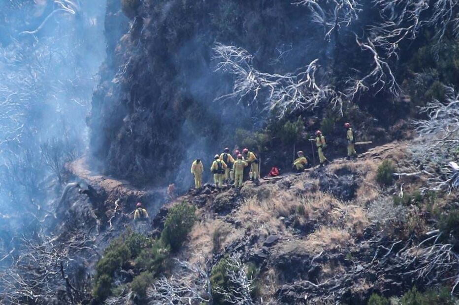 Incêndio da Madeira