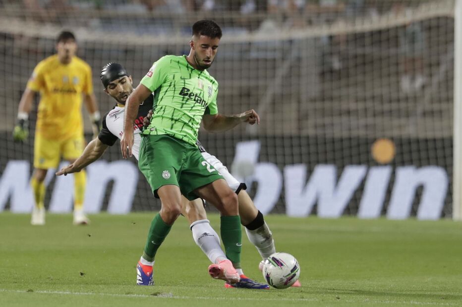 2024-08-23_20_23_47 RNA_0393.jpg