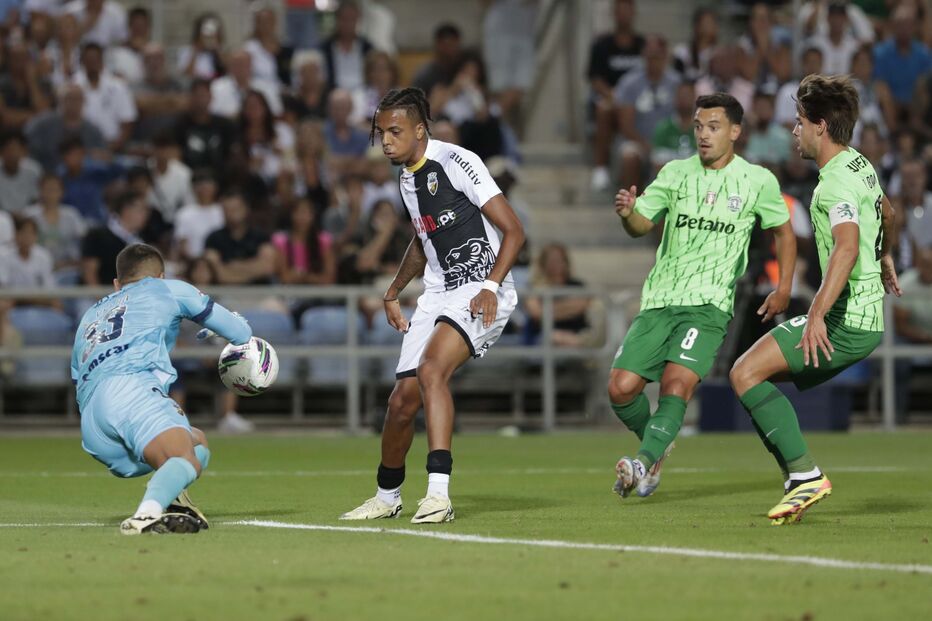 2024-08-23_20_34_56 RNA_0424.jpg