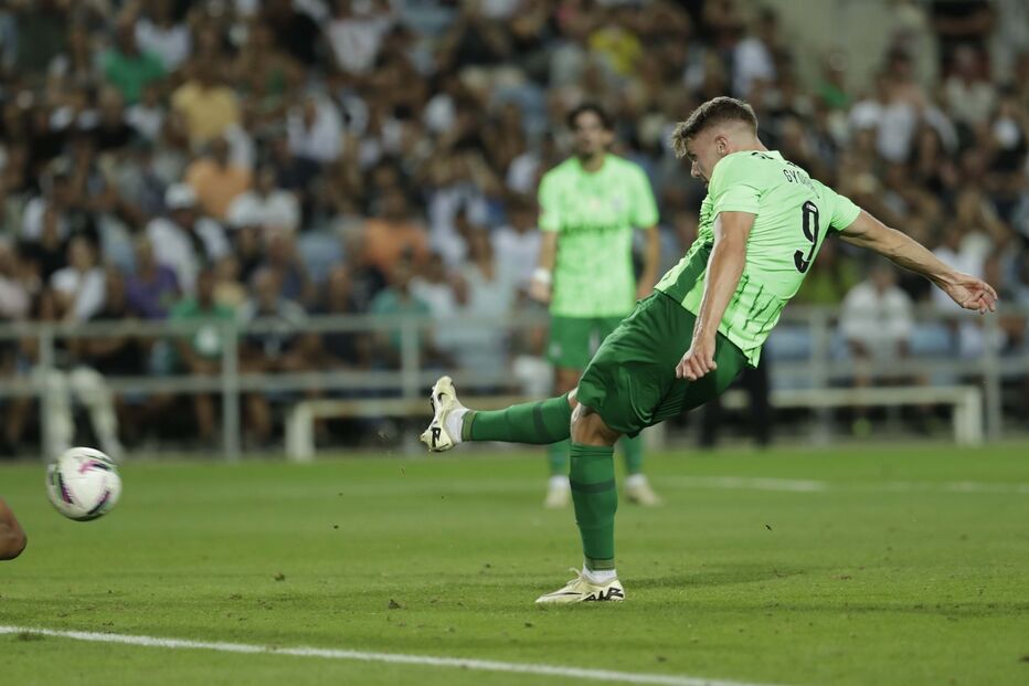 2024-08-23_20_56_07 RNA_0992.jpg