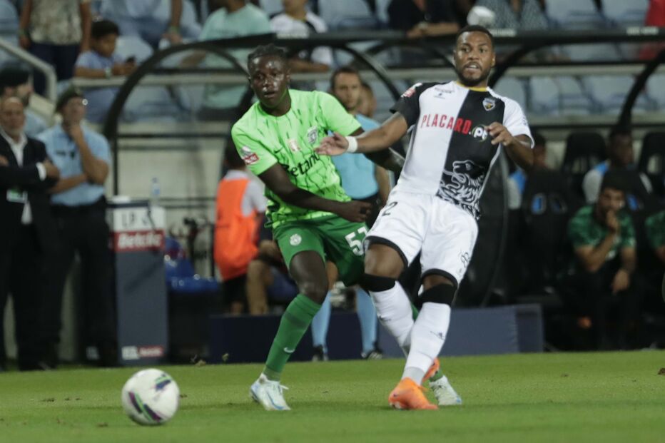 2024-08-23_21_22_09 RNA_1419.jpg