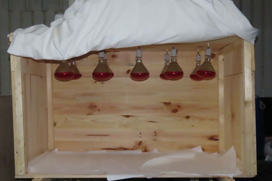 PJ desmantela laboratório de droga em Santa Maria da Feira