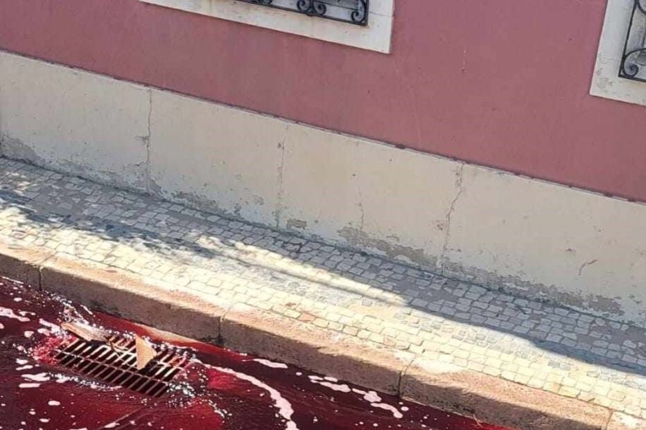 Tanque implode e liberta mais de 30 mil litros de vinha para a EN118 em Alpiarça