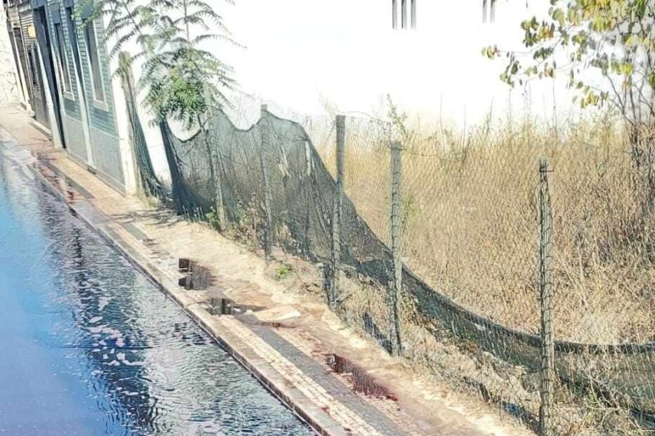 Tanque implode e liberta mais de 30 mil litros de vinha para a EN118 em Alpiarça