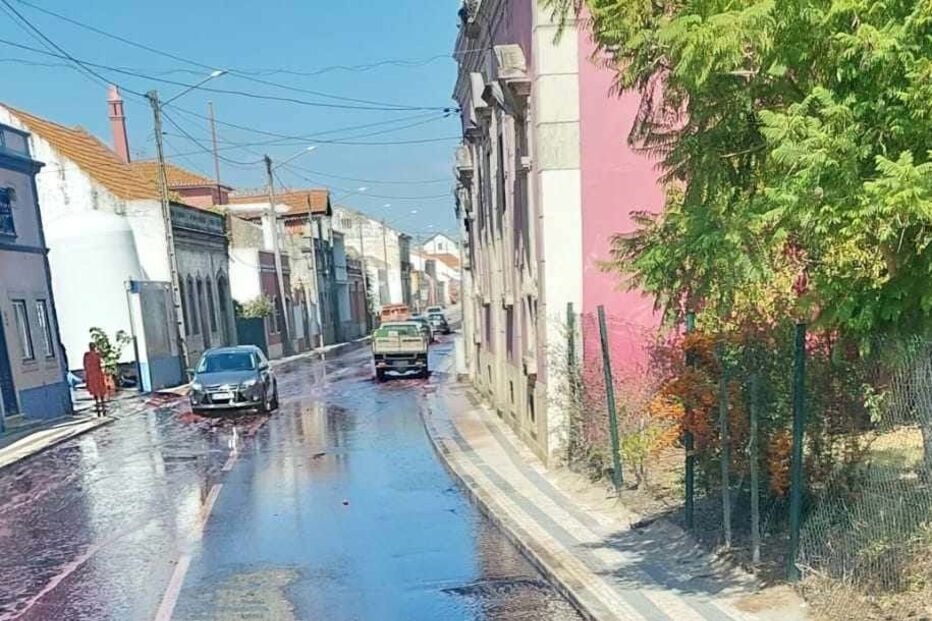 Tanque implode e liberta mais de 30 mil litros de vinha para a EN118 em Alpiarça